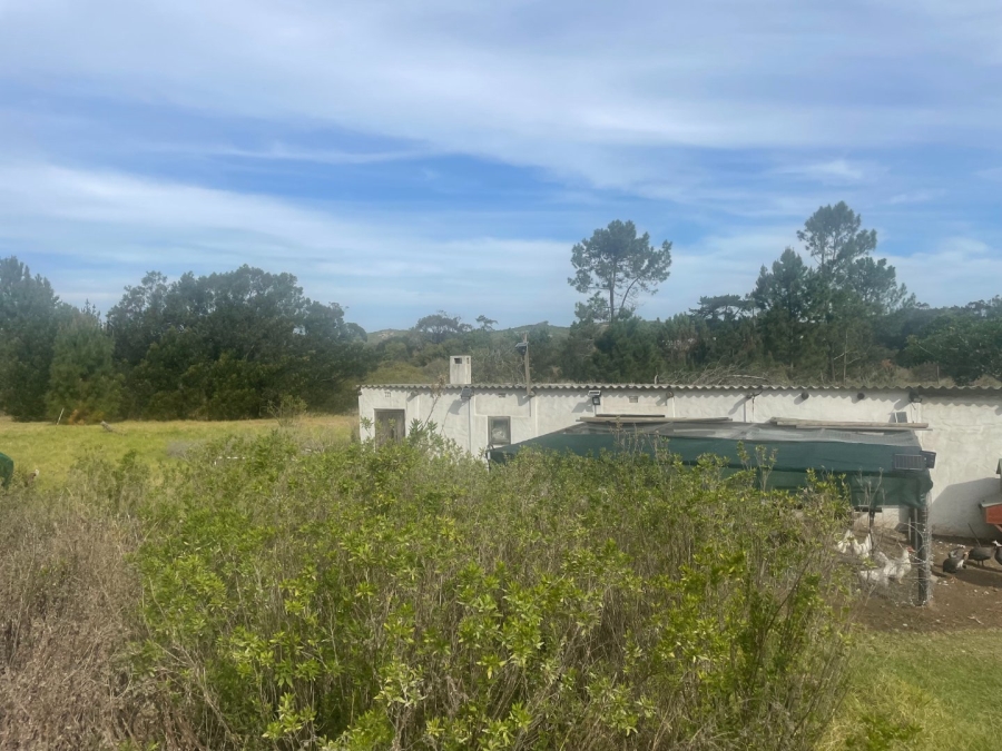 Commercial Property for Sale in Keurbooms Western Cape